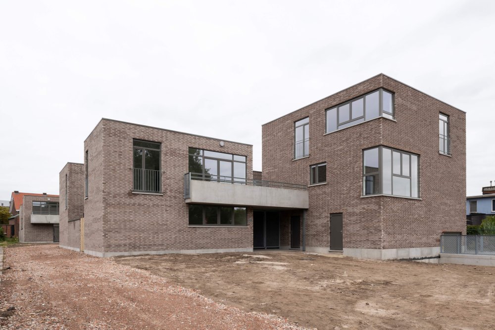 webs-0603-boom-beeld-01-1772029478.jpg