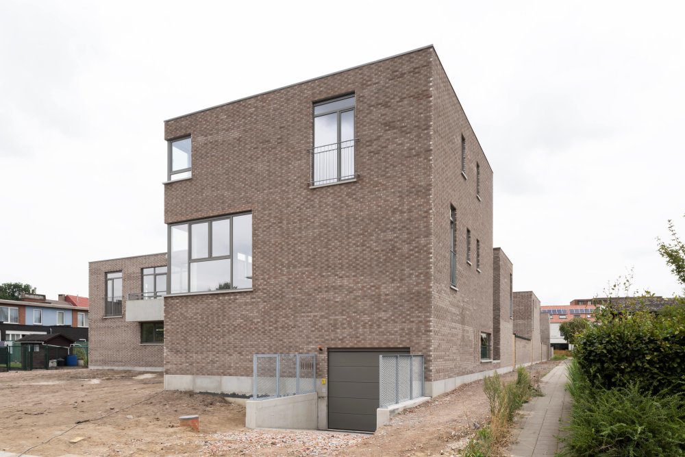 webs-0603-boom-beeld-02.jpg