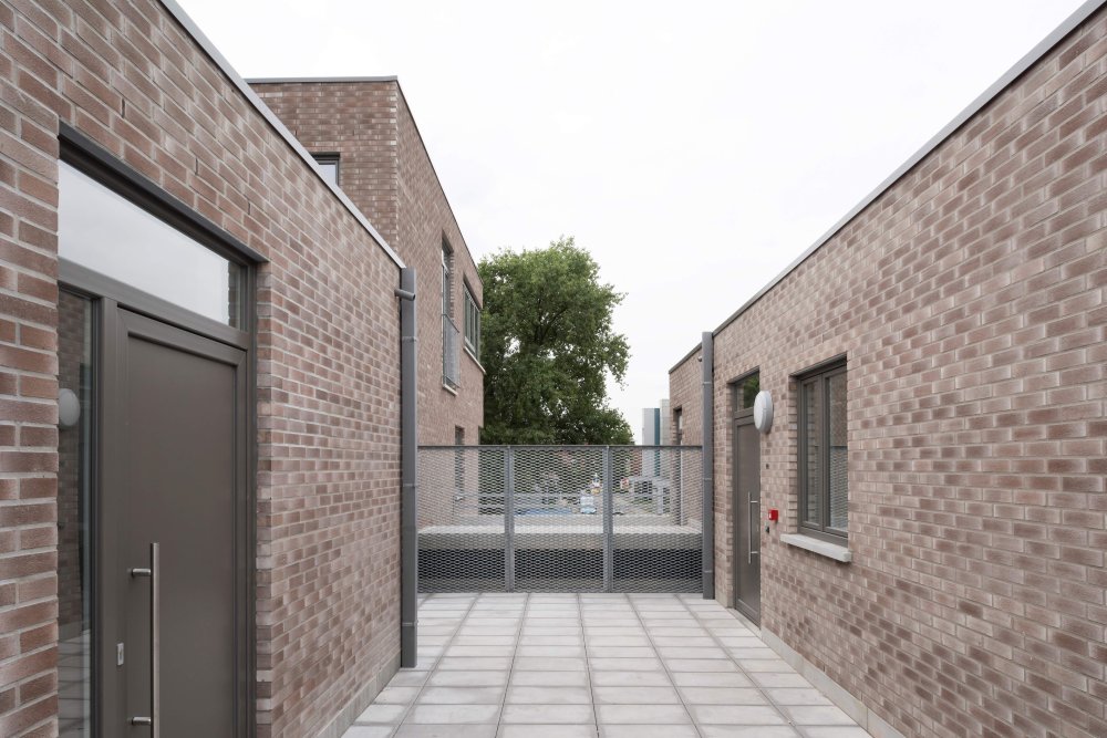 webs-0603-boom-beeld-05.jpg