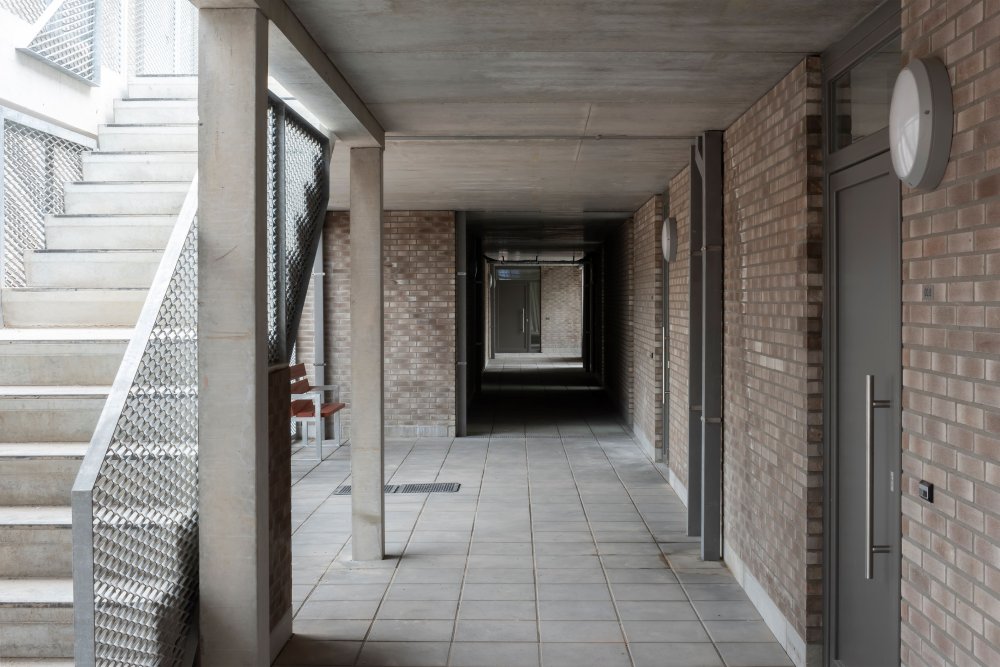 webs-0603-boom-beeld-06.jpg